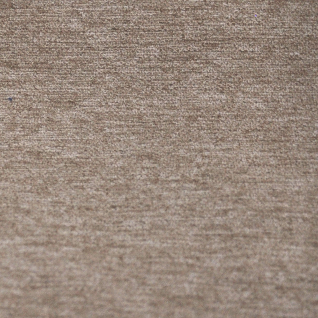 "Juno" Fabric (Sable color)