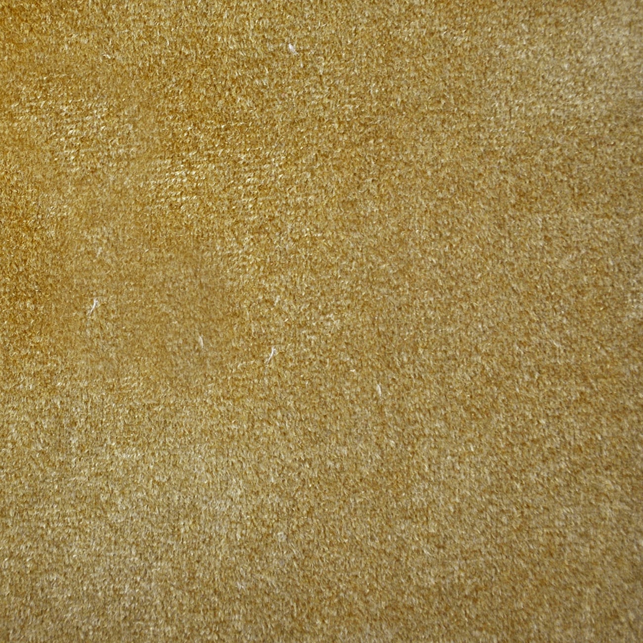 "Darling" Velvet Fabric (Gold color)