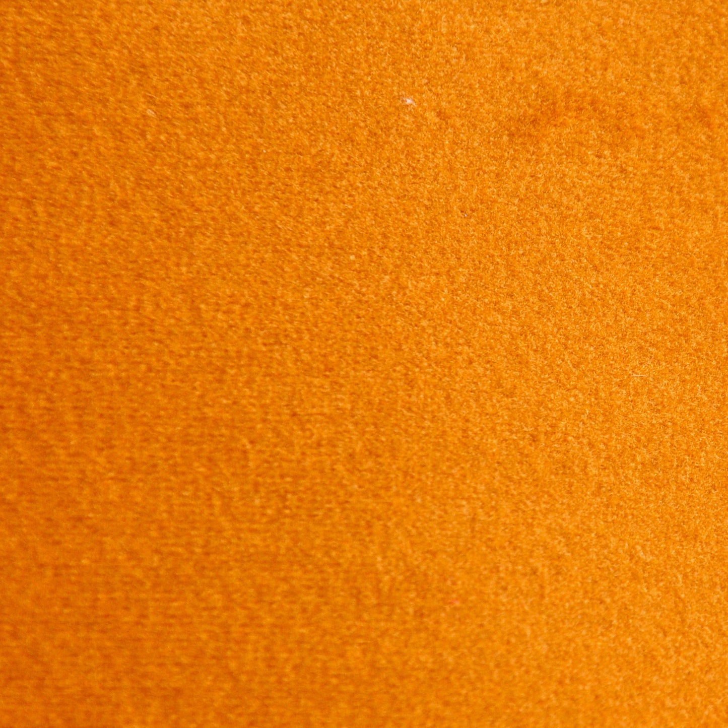 "Tresor" Soft Velvet Fabric (Gold color)