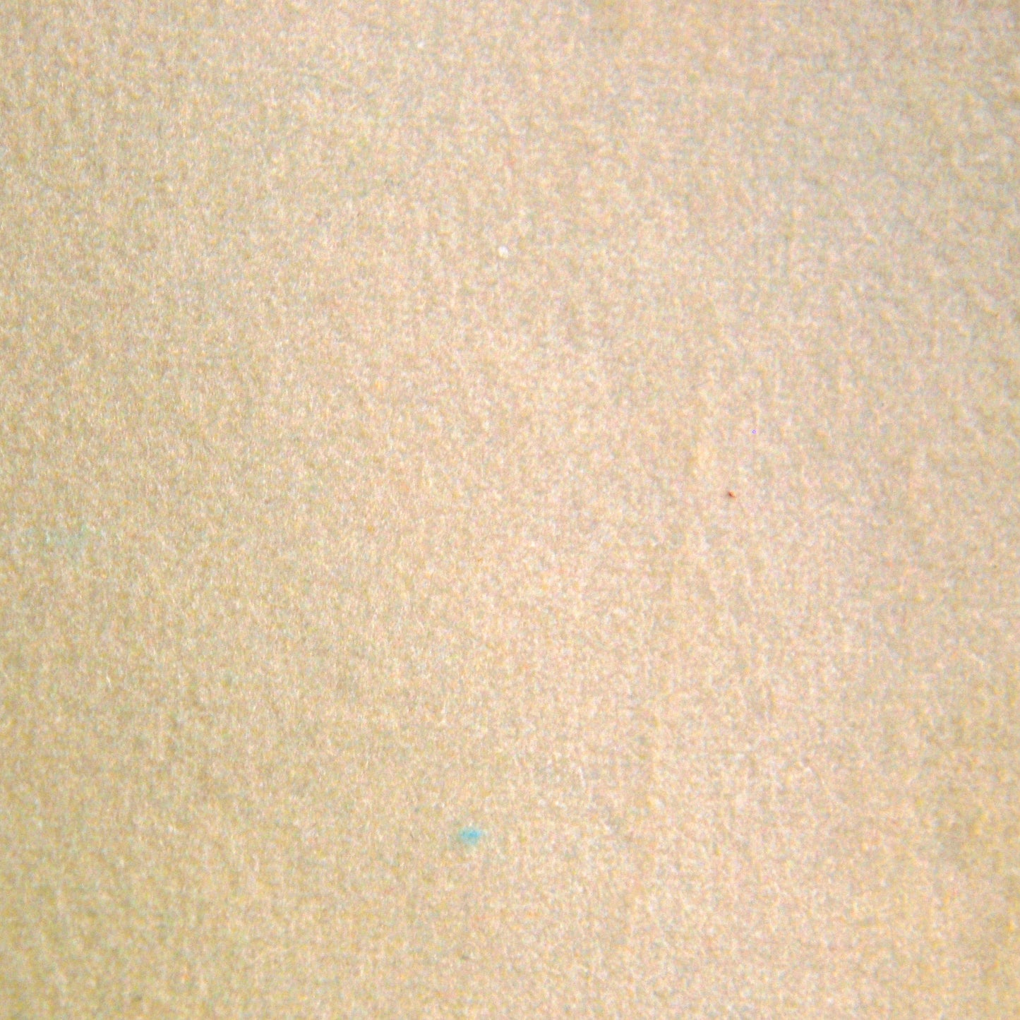 "Tresor" Soft Velvet Fabric (Ivory color)