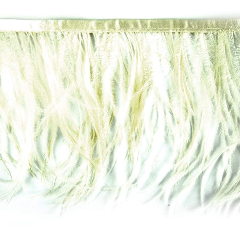 10 YDS - Ostrich Feather Trim 6 Inch Long in Ivory - B-1139-24