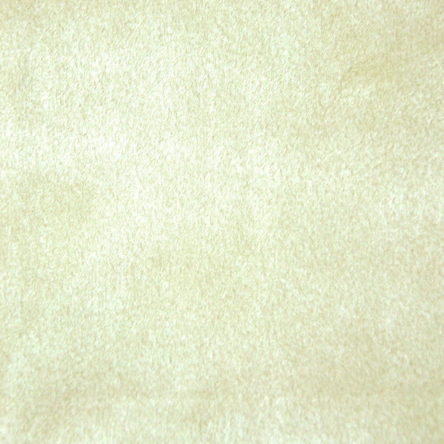 "Darling" Velvet Fabric (Oyster color)