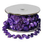 Sequin Trim 3/4-Inch Wide Polyester Non Stretch Rolls for Arts and Crafts, 25-Yard, BQ-304